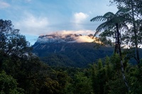 Borneo - Mt Kinabalu o0719